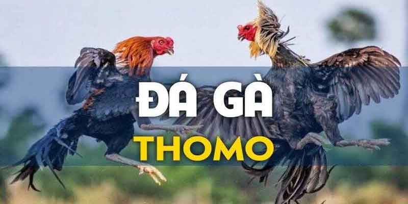 Giới thiệu tổng quan về đá gà Thomo xanh trích